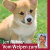Vom Welpen zum Familienhund mit Natural Dogmanship
