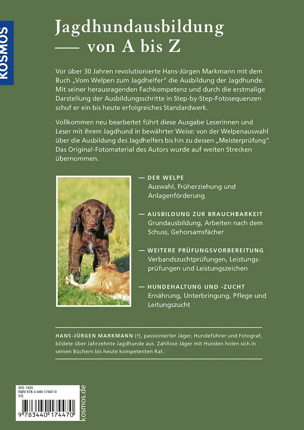 Vom Welpen zum Jagdhelfer