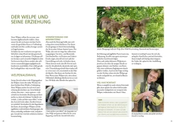 Vom Welpen zum Jagdhelfer