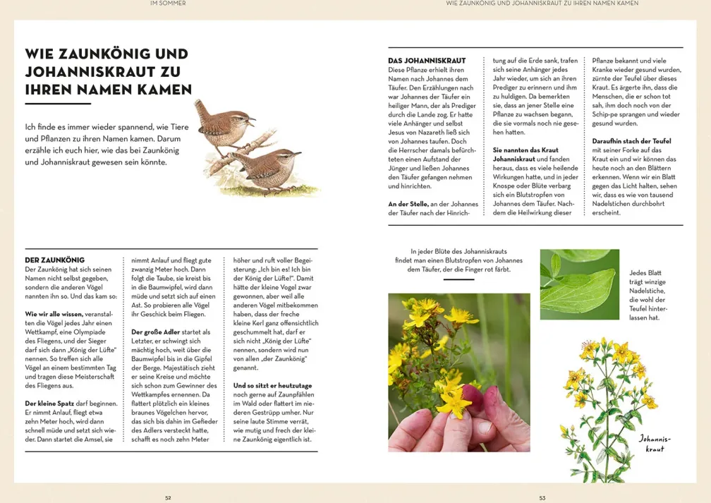Waldglück