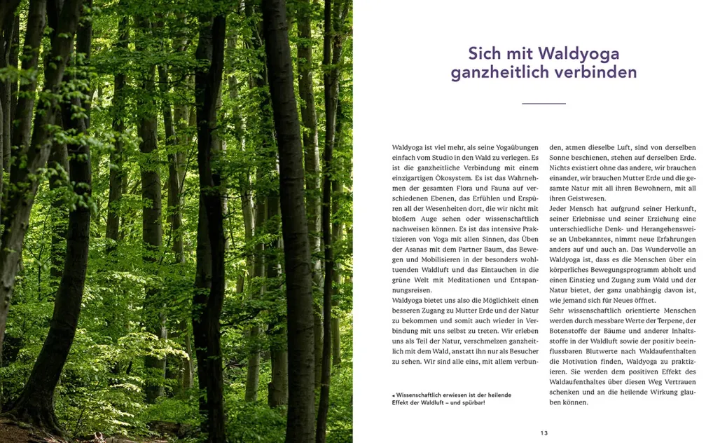 Waldyoga an Orten der Kraft