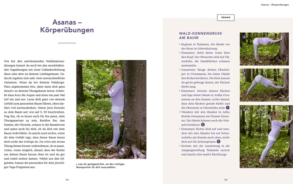 Waldyoga an Orten der Kraft