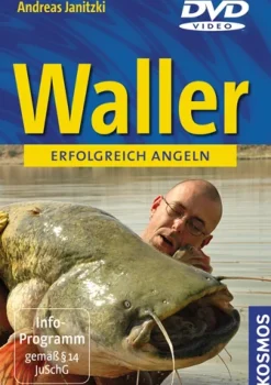 Waller angeln