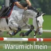 Warum ich mein Pferd von der Trense befreite
