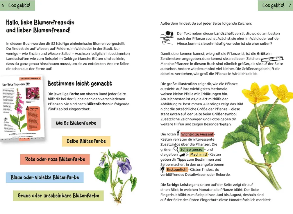 Was blüht denn da? Kindernaturführer