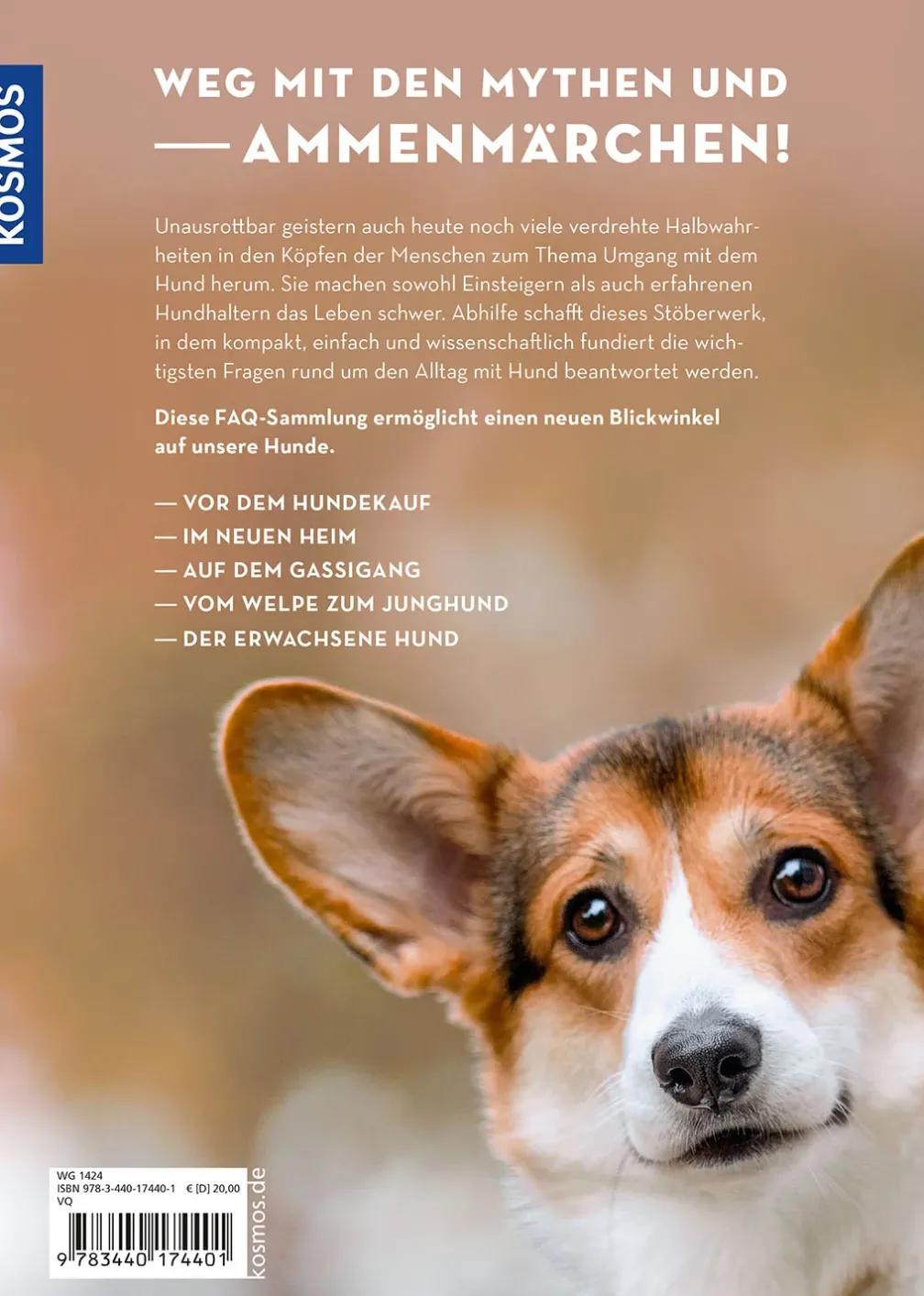 Was braucht mein Hund?