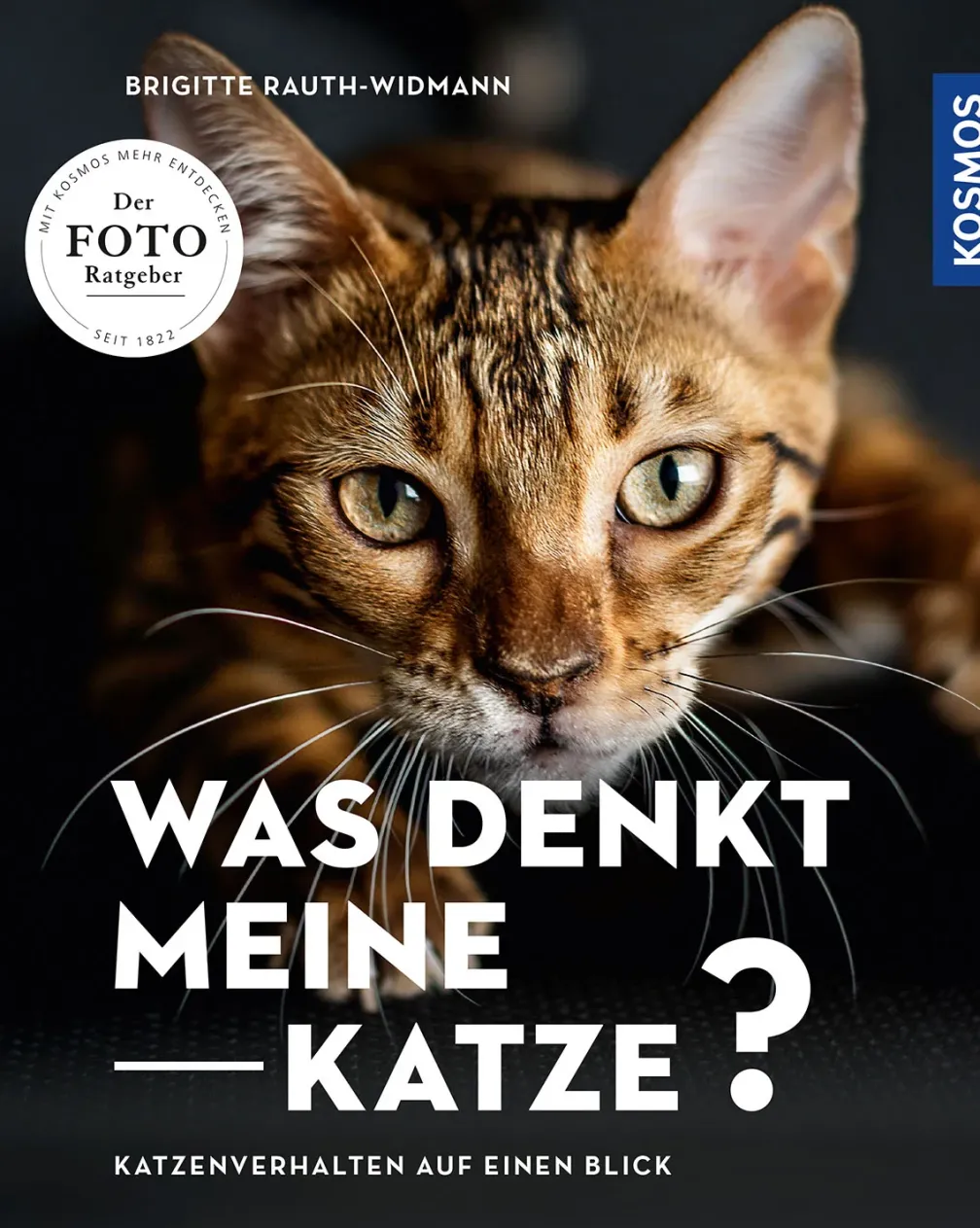 Was denkt meine Katze