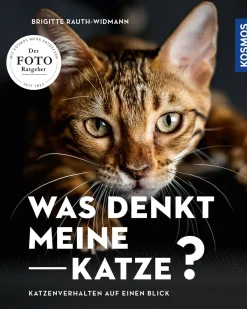 Was denkt meine Katze?