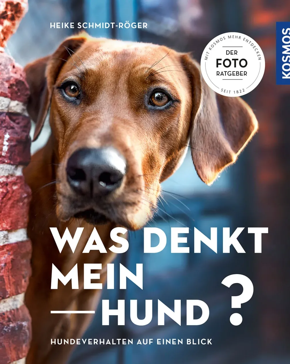 Was denkt mein Hund?