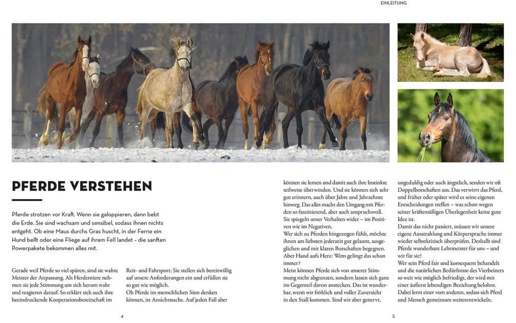 Was denkt mein Pferd?