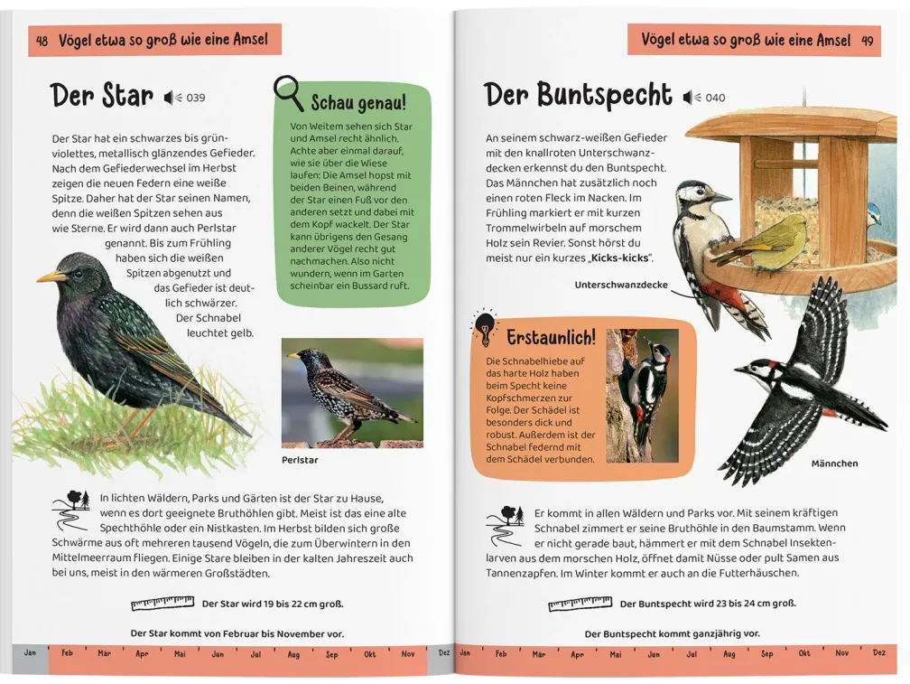 Was fliegt denn da? Kindernaturführer