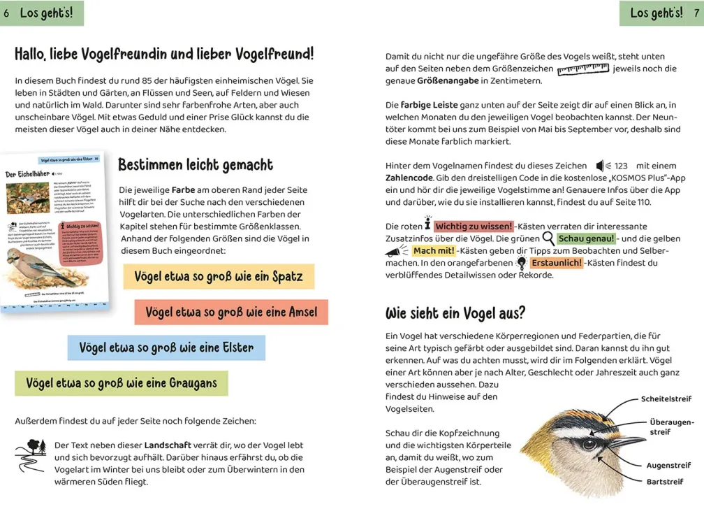 Was fliegt denn da? Kindernaturführer