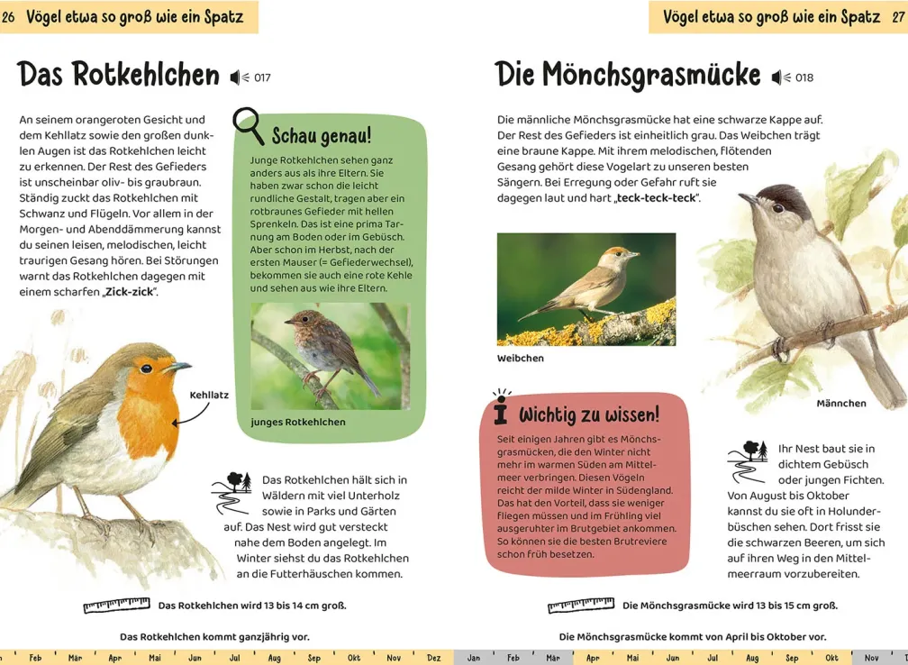 Was fliegt denn da? Kindernaturführer