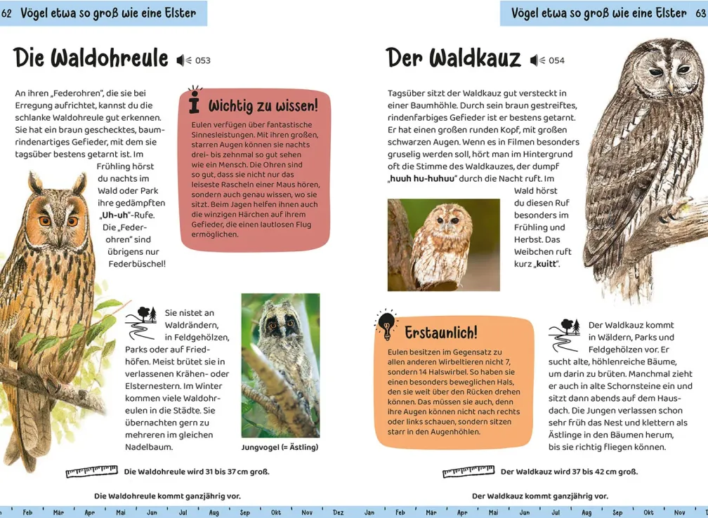 Was fliegt denn da? Kindernaturführer