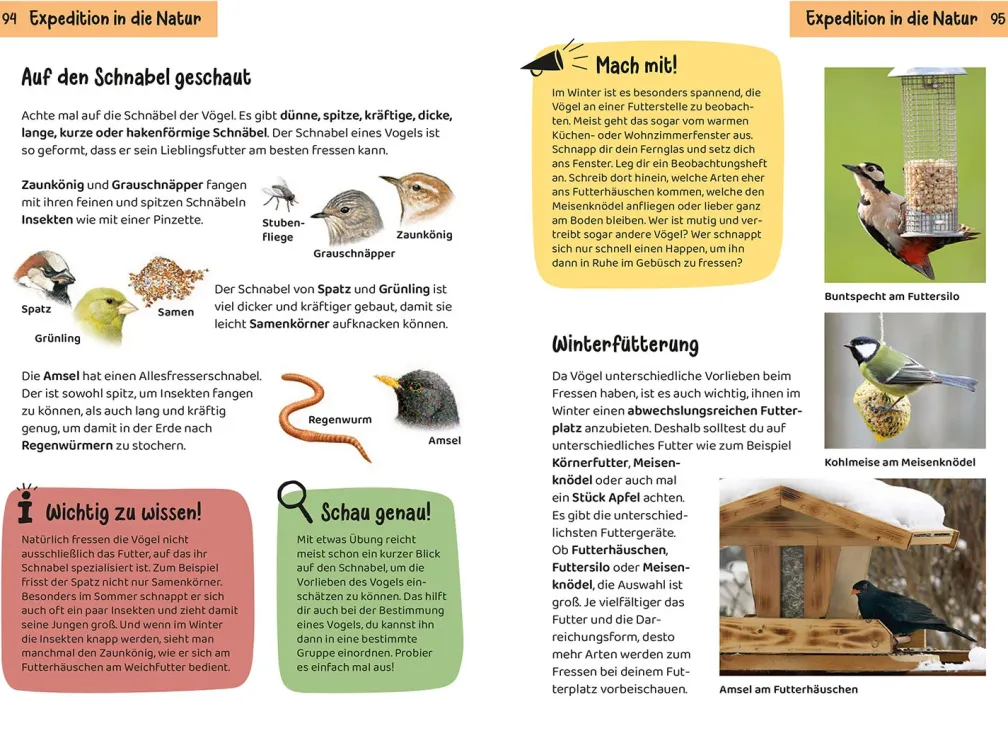 Was fliegt denn da? Kindernaturführer