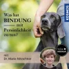 Was hat Bindung mit Persönlichkeit zu tun?