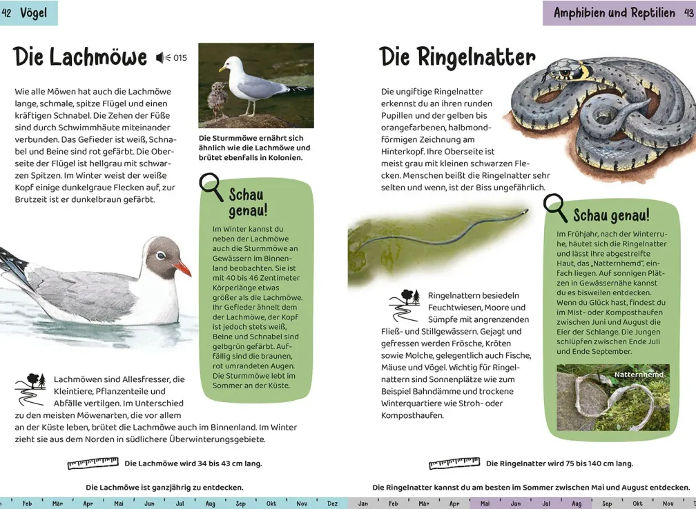Was lebt an Bach und Teich? Kindernaturführer