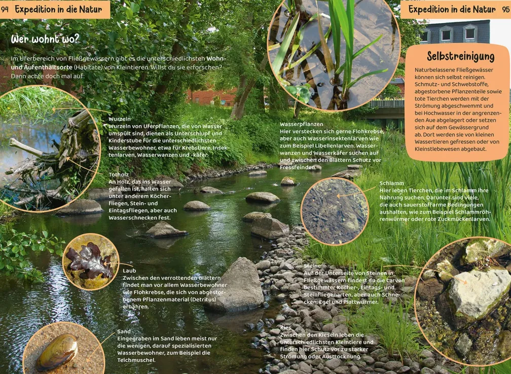 Was lebt an Bach und Teich? Kindernaturführer