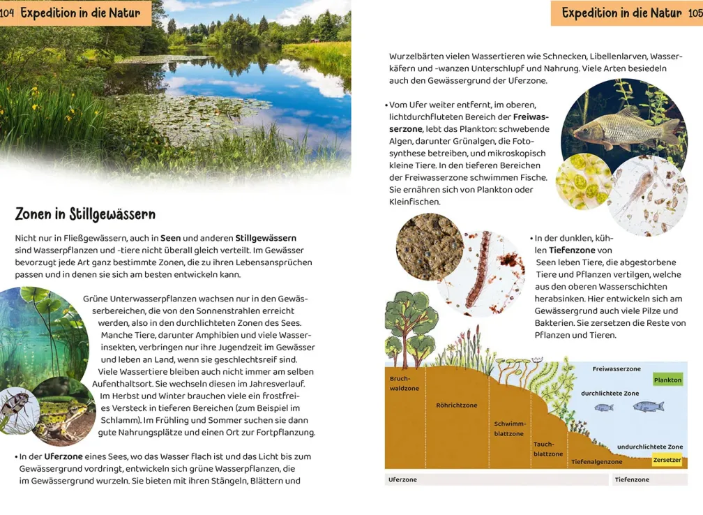 Was lebt an Bach und Teich? Kindernaturführer