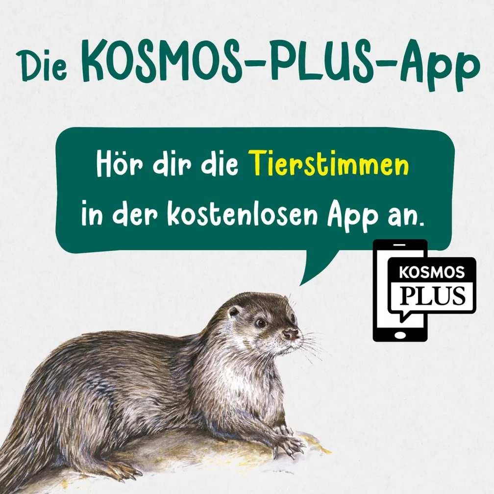 Was lebt an Bach und Teich? Kindernaturführer