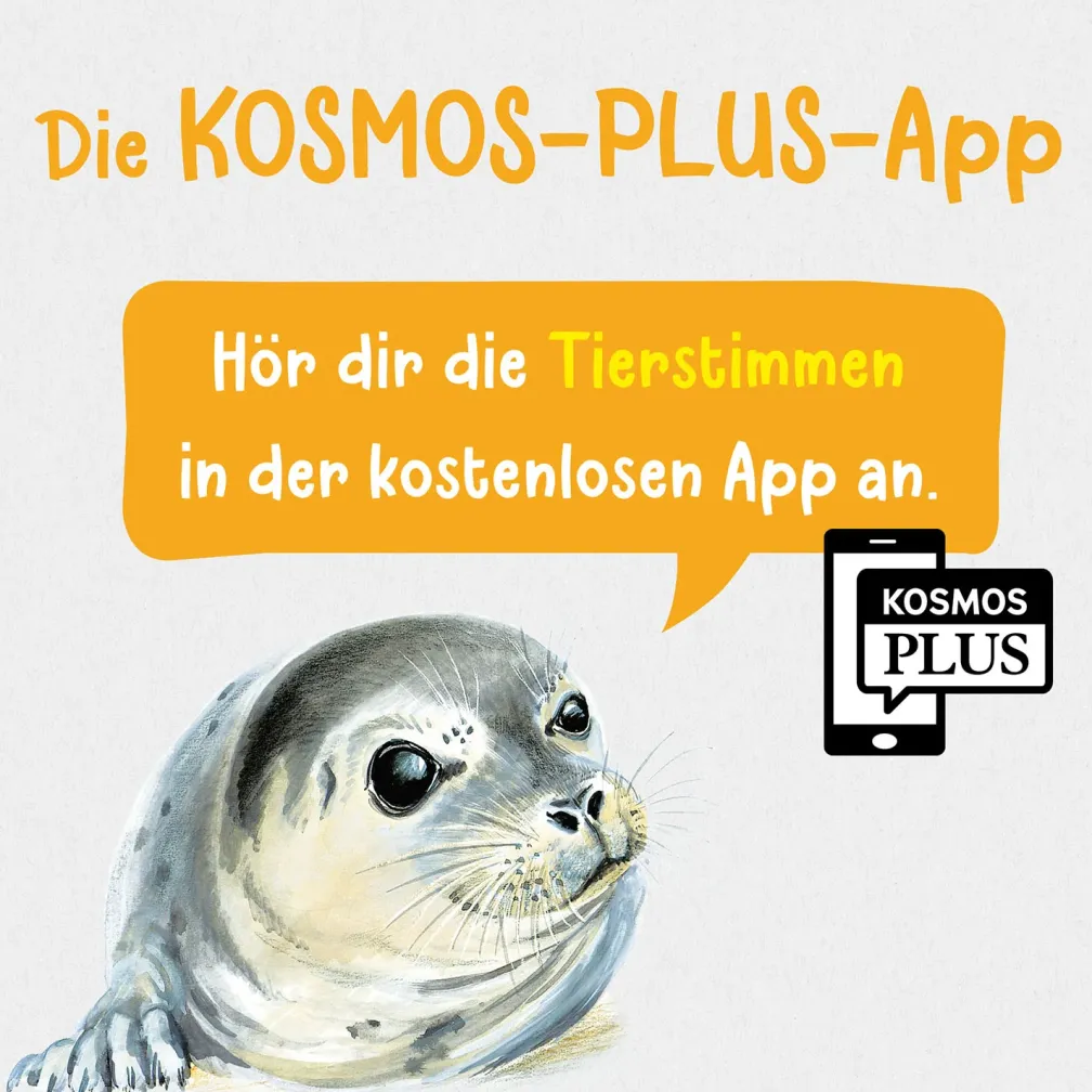 Was lebt an Strand und Küste? Kindernaturführer
