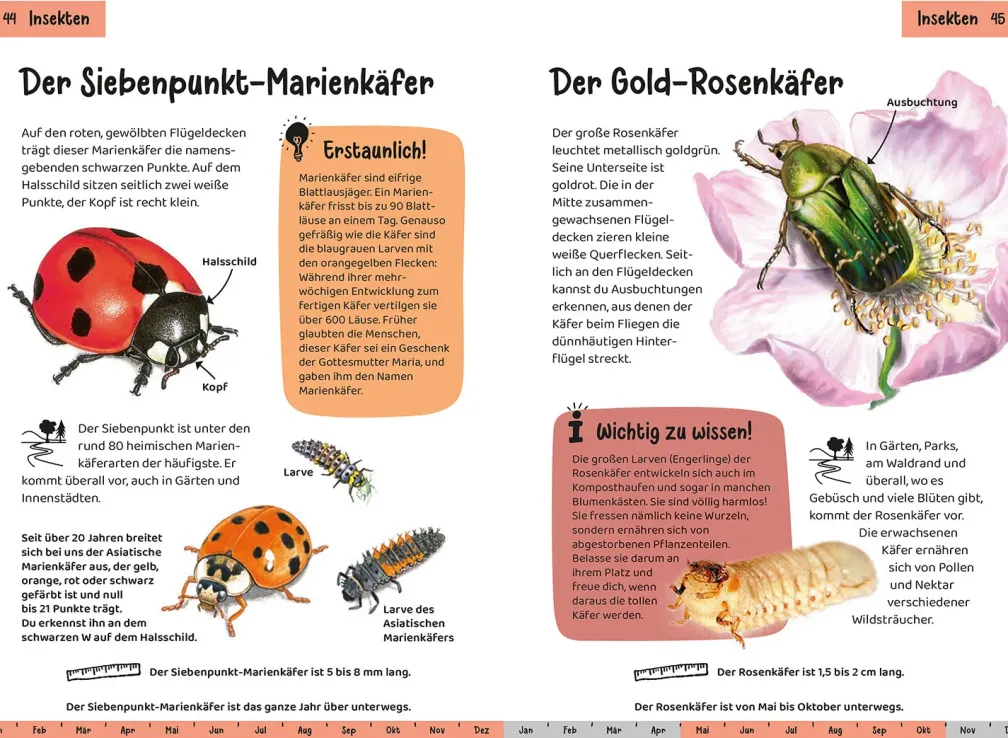 Was lebt im Garten? Kindernaturführer