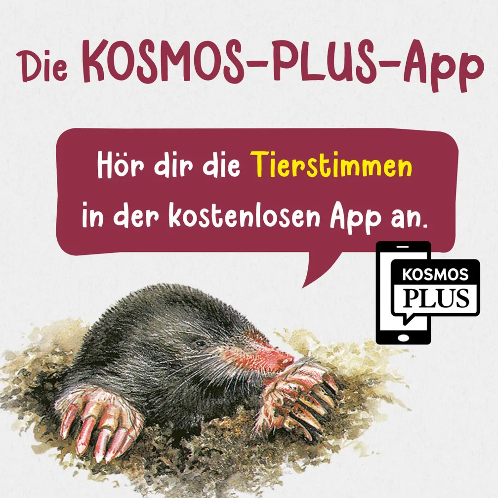 Was lebt im Garten? Kindernaturführer