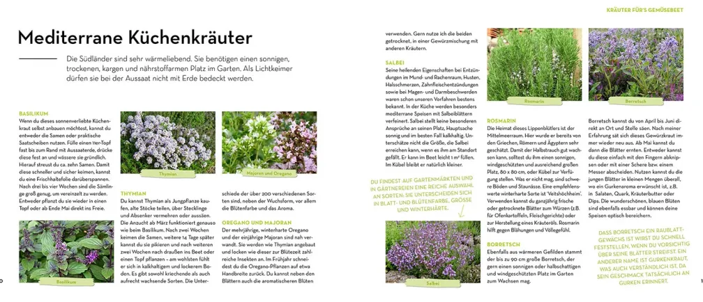 Was mache ich wann im Gemüsegarten?
