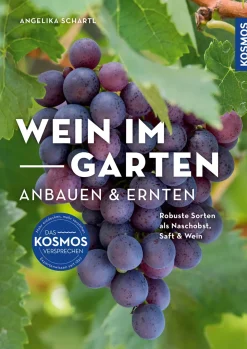 Wein im Garten anbauen & ernten