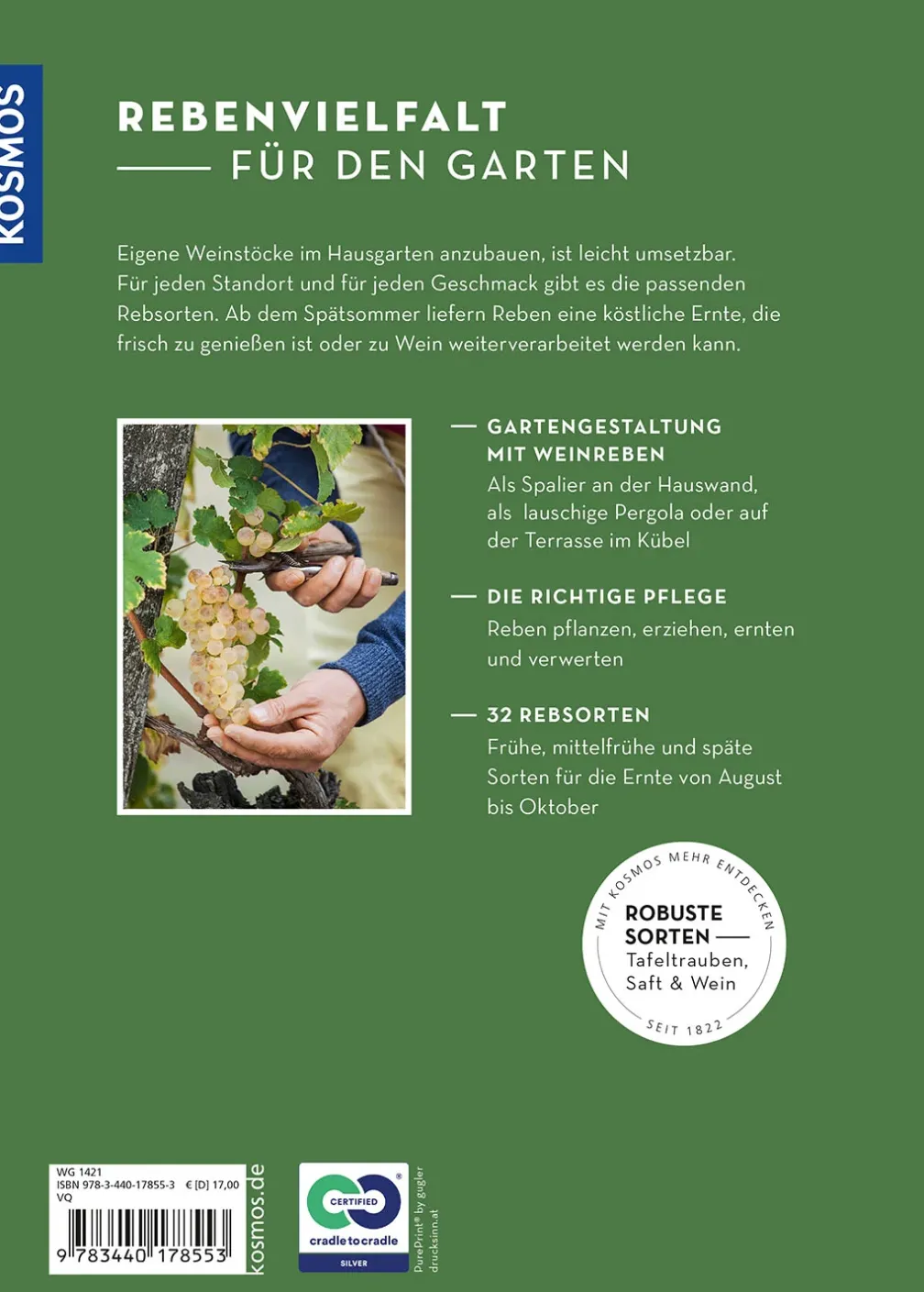 Wein im Garten anbauen & ernten