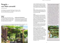 Wein im Garten anbauen & ernten