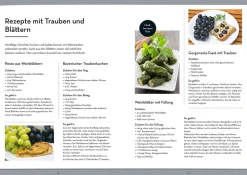 Wein im Garten anbauen & ernten