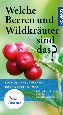 Welche Beeren und Wildkräuter sind das?