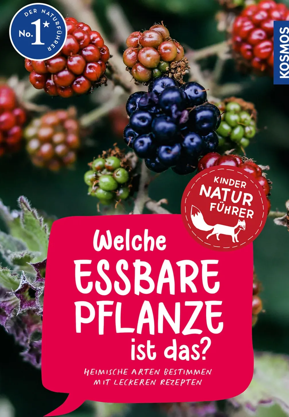 Welche essbare Pflanze ist das? Kindernaturführer