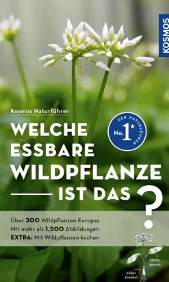 Welche essbare Wildpflanze ist das?