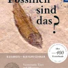 Welche Fossilien sind das?