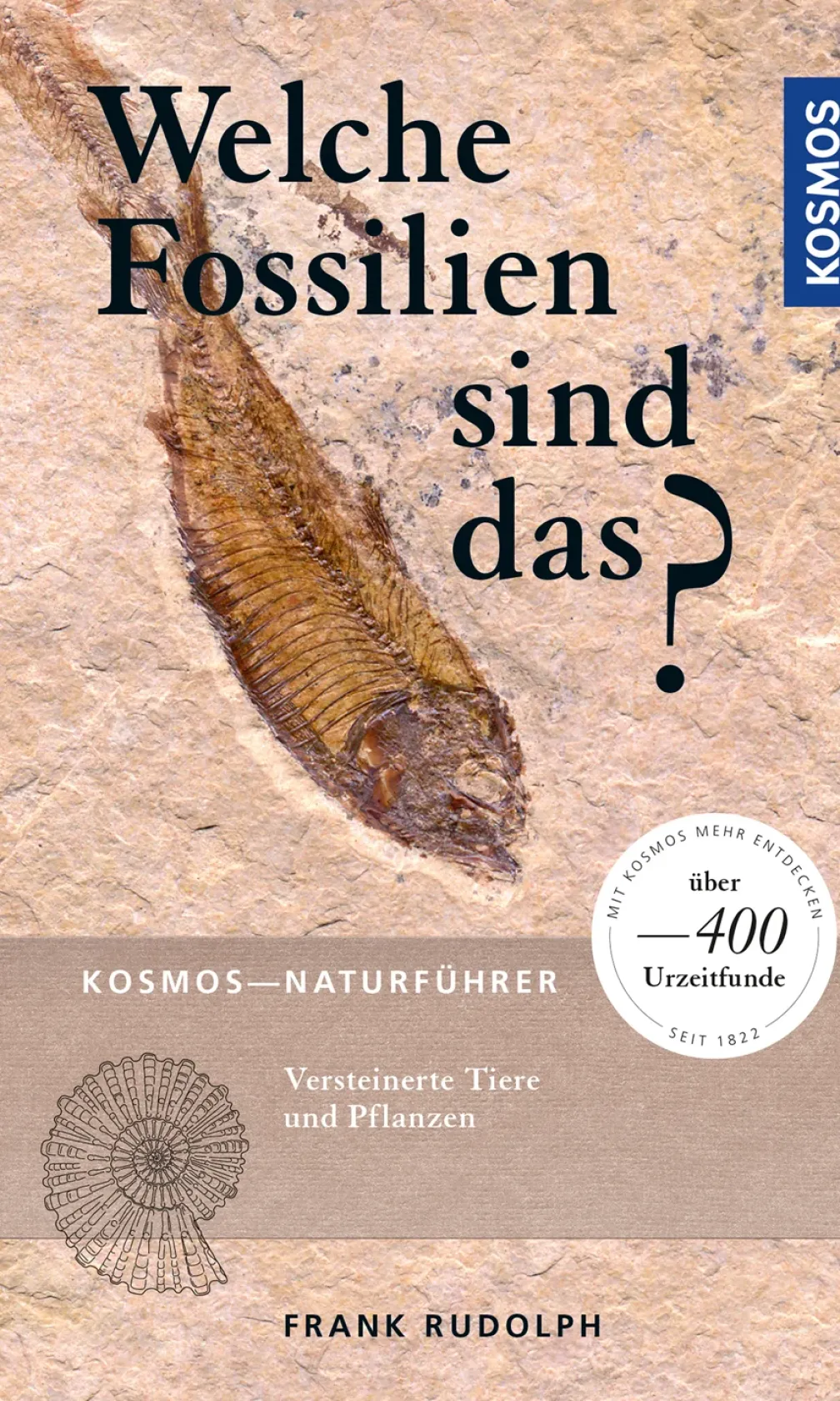 Welche Fossilien sind das?