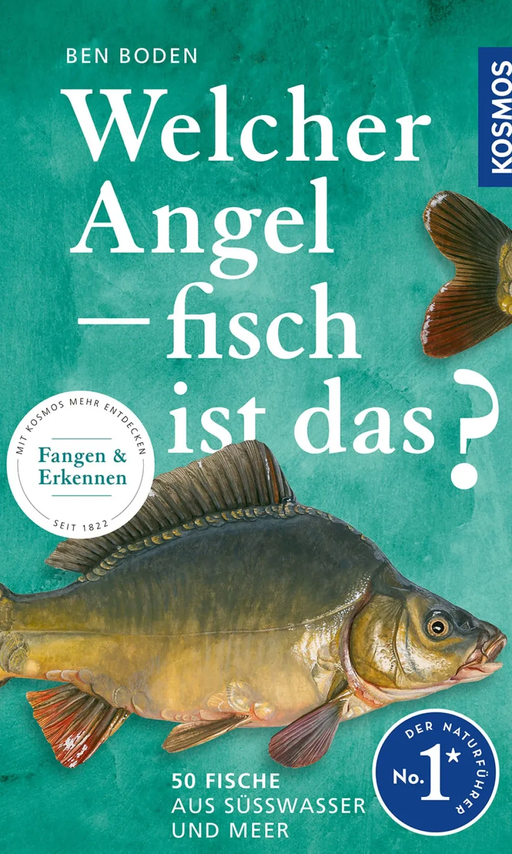 Welcher Angelfisch ist das?