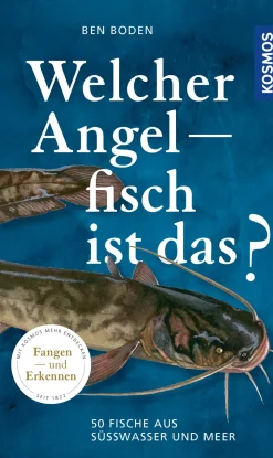 Welcher Angelfisch ist das?