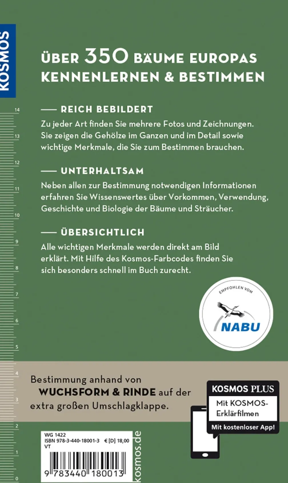 Welcher Baum ist das?