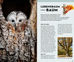 Welcher Baum ist das?