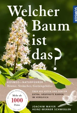 Welcher Baum ist das?