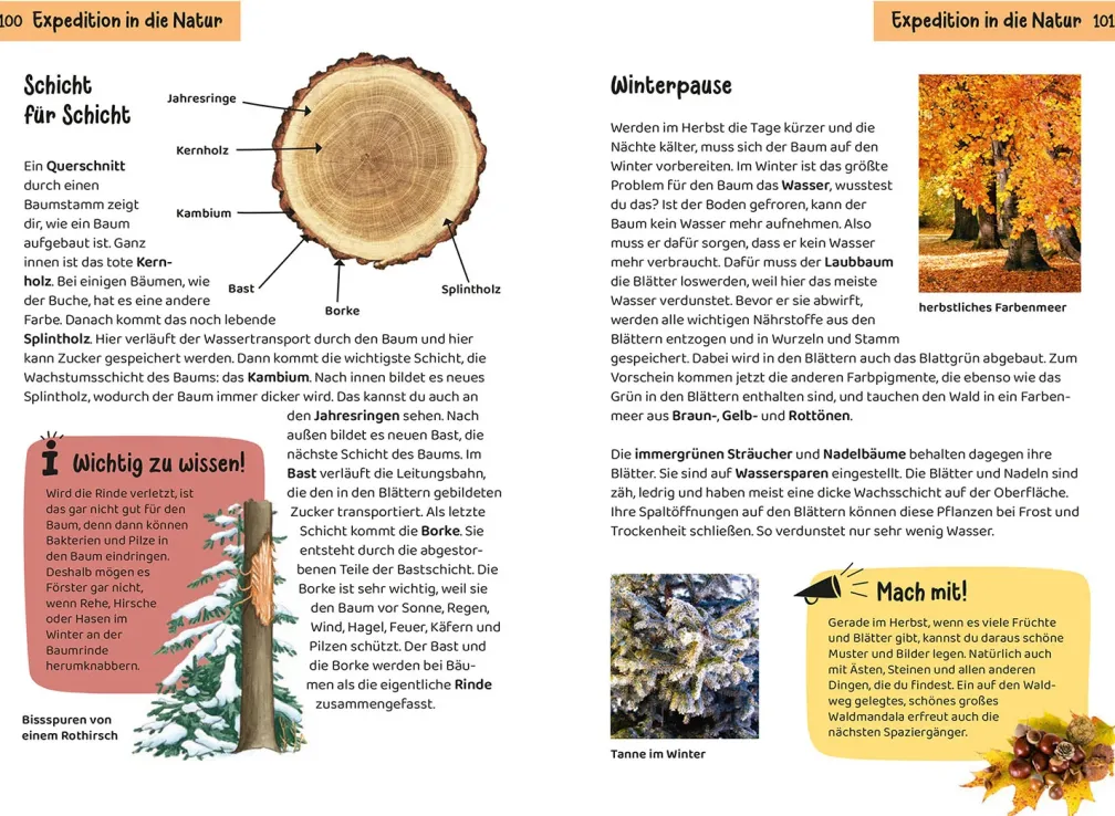 Welcher Baum ist das? Kindernaturführer