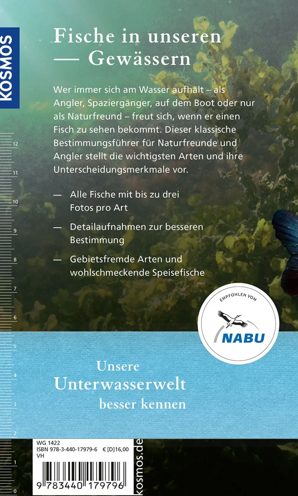 Welcher Fisch ist das?
