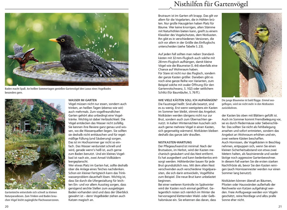 Welcher Gartenvogel ist das?