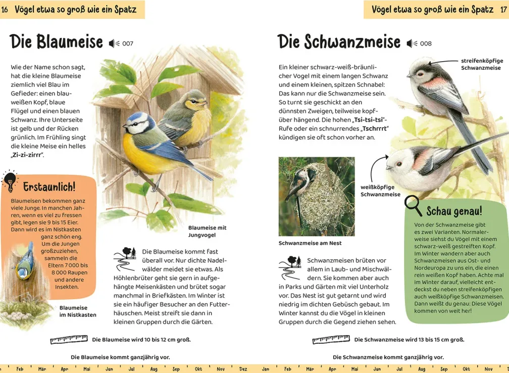 Welcher Gartenvogel ist das? Kindernaturführer