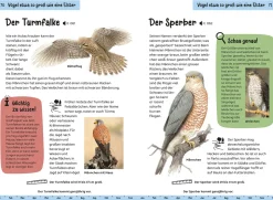 Welcher Gartenvogel ist das? Kindernaturführer