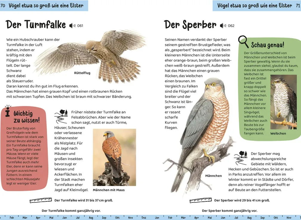 Welcher Gartenvogel ist das? Kindernaturführer