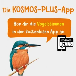 Welcher Gartenvogel ist das? Kindernaturführer