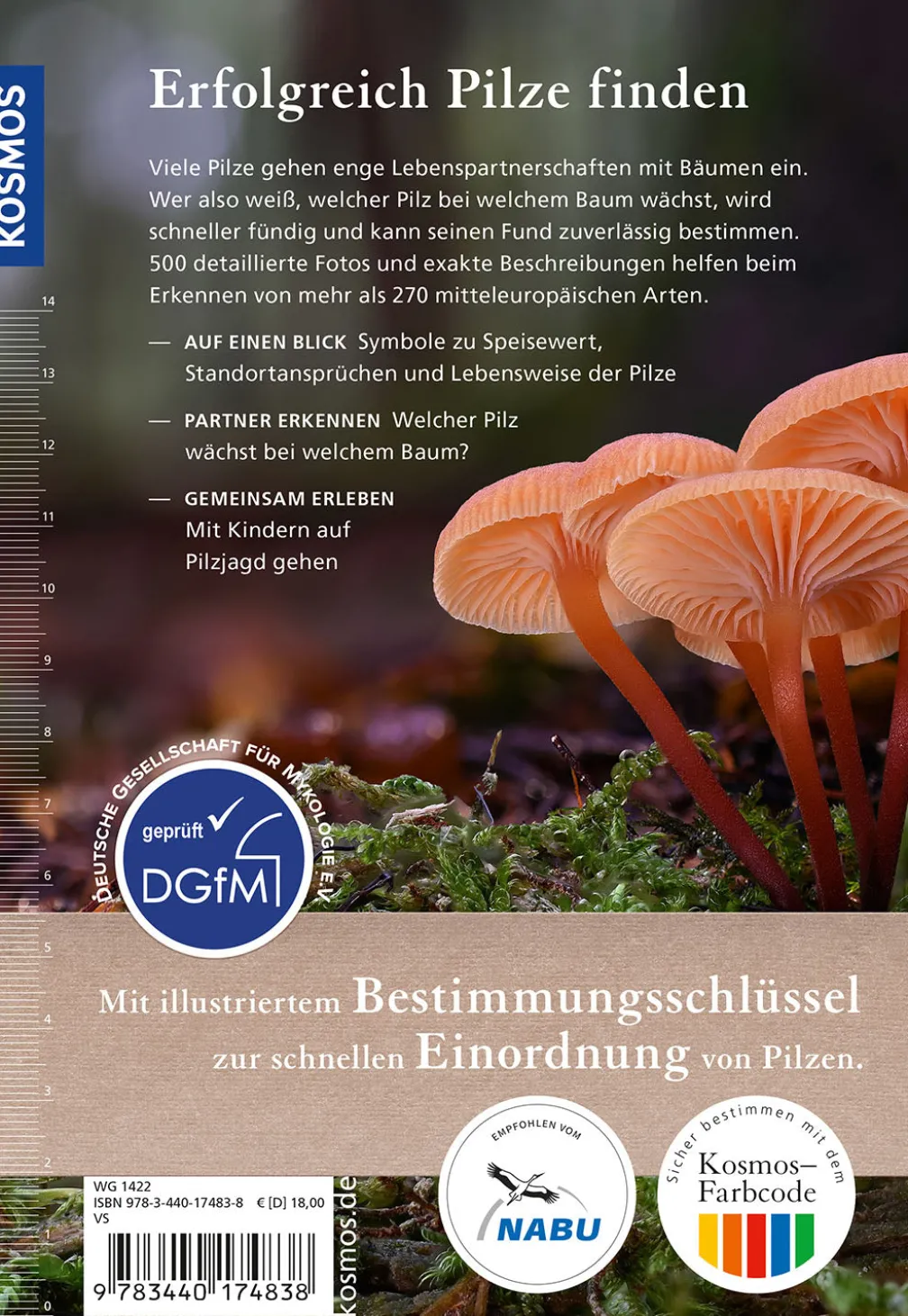 Welcher Pilz ist das?